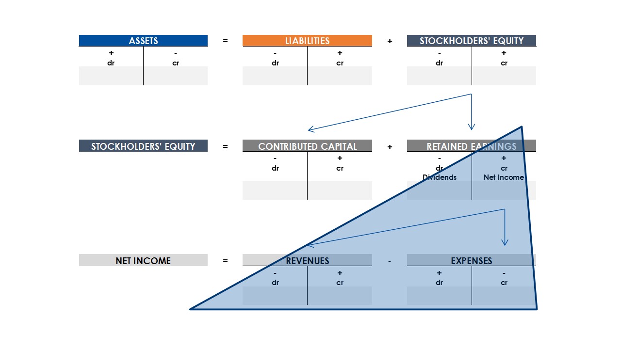 The Expanded Accounting Equation and the Income Statement